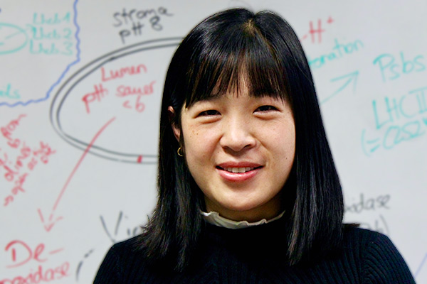 Tingting Liu starts PhD project on magnesium and drought stress | News of December 4th 2020