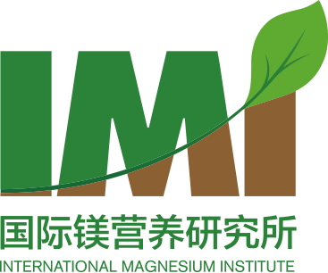 Website des International Magnesium Institute
