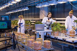 Das IAPN | Ziele, Aufbau, Team Das IAPN | Ziele, Aufbau, Team