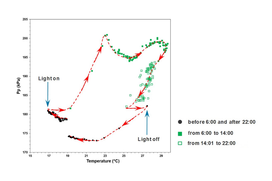Hysteresis between the patch clamp pressure, Pp, and temperature observed on a leaf of soybean (Glycine max) under a 16/8 light-dark cycle in greenhouse. (Source: Cabrita)