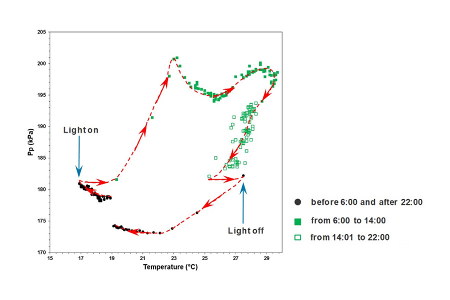 Hysterese zwischen dem Patch-Clamp-Ausgangsdruck, Pp, und der Temperatur, beobachtet am Blatt einer Sojabohne (Glycine max) unter einem 16/8 Hell-Dunkel-Zyklus im Gewächshaus. (Quelle: Cabrita)