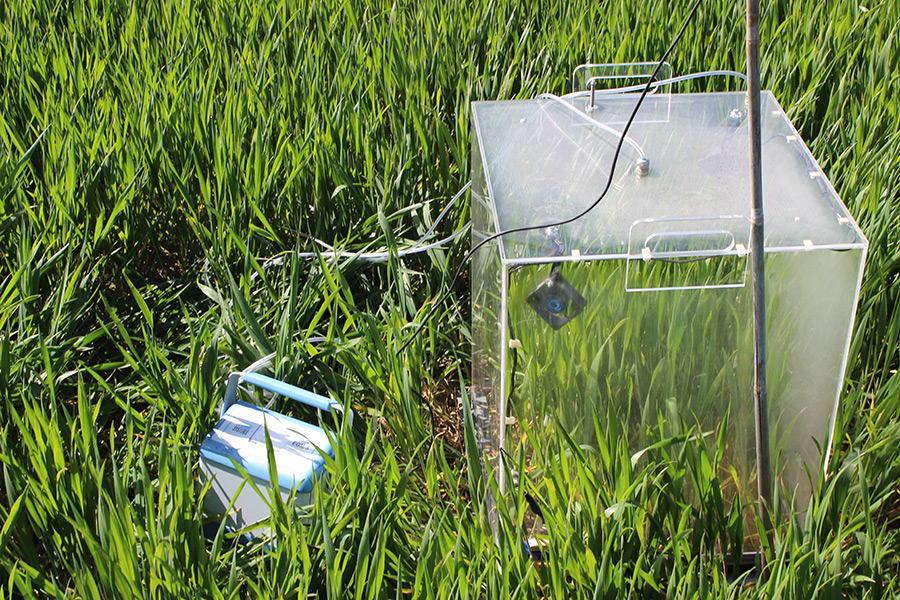 Die tragbare Gaswechselkammer wird zur Messung der Wassernutzungseffizienz von Pflanzenbeständen im Feld eingesetzt. (Foto: IAPN) Die tragbare Gaswechselkammer wird zur Messung der Wassernutzungseffizienz von Pflanzenbeständen im Feld eingesetzt. (Foto: IAPN)