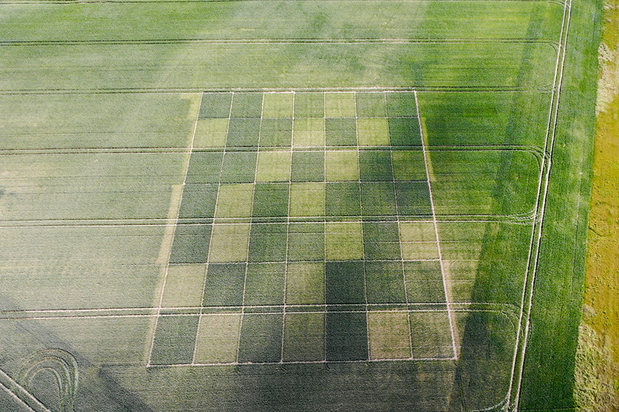 IAPN's field trial in which remote sensing is used to continuously monitor crop stands during their development. (Photo: Hanebut, K+S)