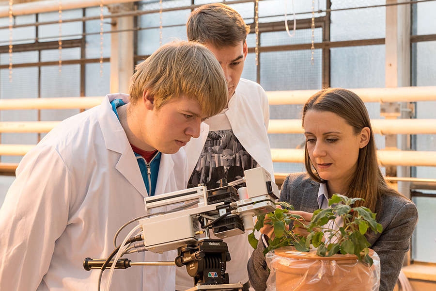 Bachelor students concentrate in a course offered by Junior Professor Dr. Merle Tränkner. Here the IAPN scientist demonstrates how to identify the symptoms of various nutrient deficiencies. (Photo: IAPN)