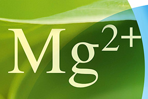 3rd International Symposium on Magnesium 2018 | Report