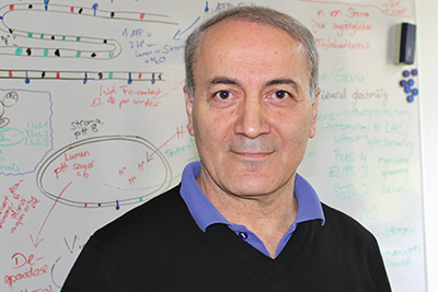 Professor Dr. Ismail Cakmak continues his research activities at IAPN | News of March 23rd 2017