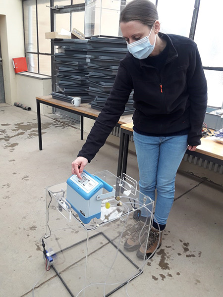 Junior Professor Dr. Merle Tränkner explains to the DaLeA project team how to conduct measurements in the living mulch system with IAPN’s mobile canopy chamber. (Photo: Mittermeier)