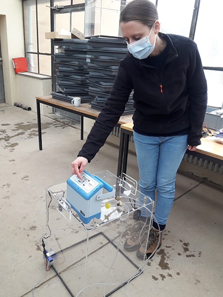 Juniorprofessorin Dr. Merle Tränkner erklärt dem DaLeA-Projektteam die Funktionsweise der tragbaren Gaswechselhaube, mit der Messungen im Dauerlebendmulch-System durchgeführt werden sollen. (Foto: Mittermeier) Juniorprofessorin Dr. Merle Tränkner erklärt dem DaLeA-Projektteam die Funktionsweise der tragbaren Gaswechselhaube, mit der Messungen im Dauerlebendmulch-System durchgeführt werden sollen. (Foto: Mittermeier)