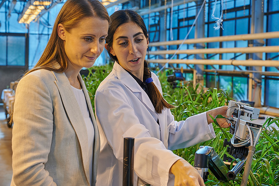 IAPN’s PhD student Setareh Jamali Jaghdani (right) demonstrates results of gas exchange measurements to her supervisor Professor Dr. Merle Tränkner. (Photo: K+S)