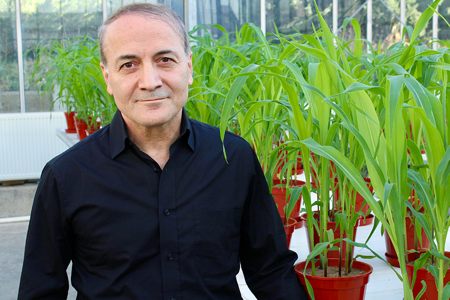 Professor Dr. Ismail Cakmak. (Photo: Cakmak)