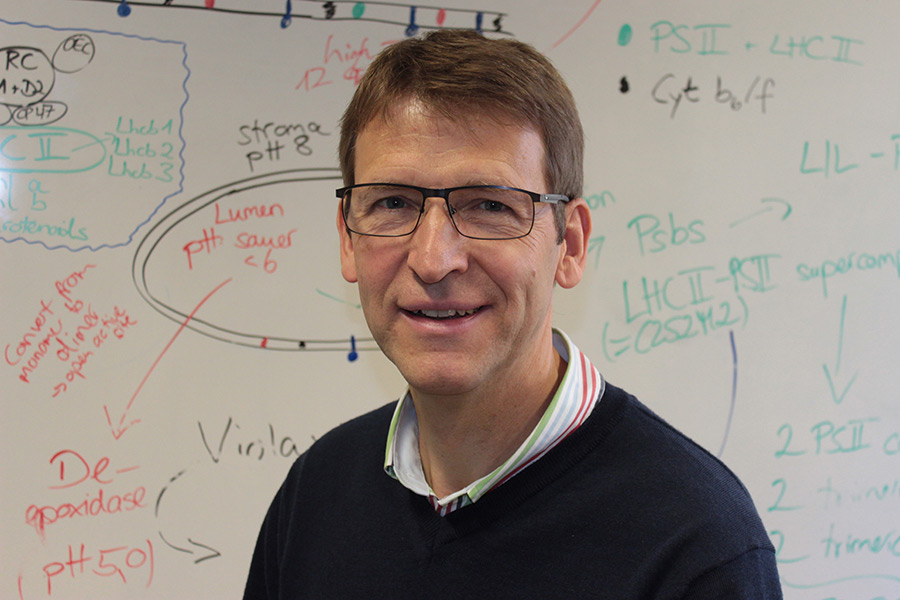 Prof. Dr. Klaus Dittert, Wissenschaftlicher Leiter des IAPN (Foto: IAPN)